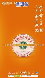 潍坊市集思益老班章-2020年集思益老班章