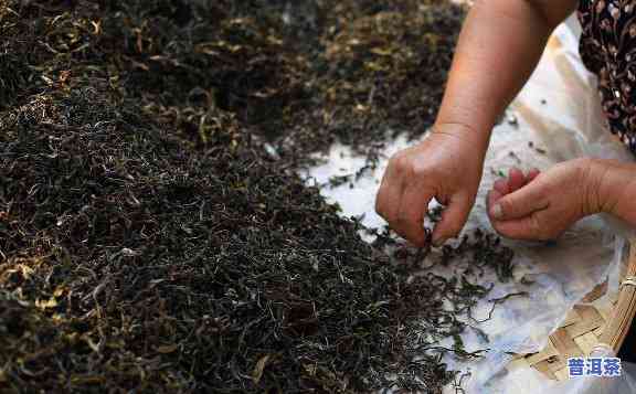 一款好的普洱茶：香气、品质与制作工艺的完美结合