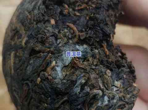 普洱茶代理厂排名前十名-普洱茶代理厂排名前十名有哪些