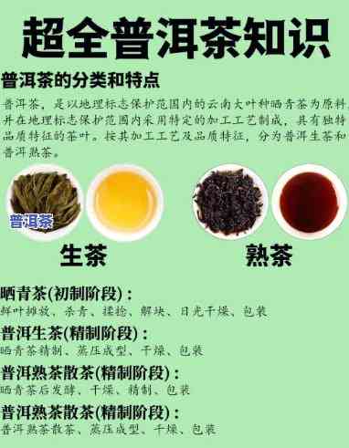 龙润茶是普洱茶吗还是绿茶好，普洱茶还是绿茶？探究龙润茶的品种归属