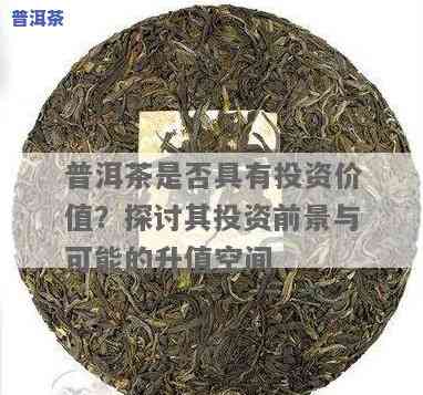 特级普洱茶百科，探索特级普洱茶的奥秘：一份全面的百科指南