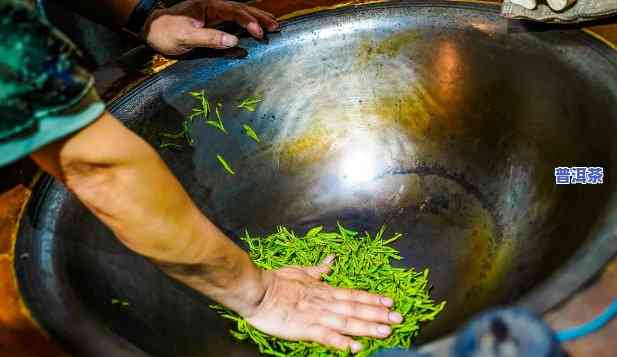 新益茶普洱茶测评-新益茶普洱茶测评结果