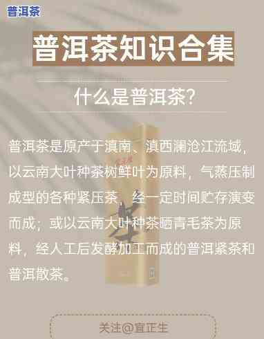 三爬老班章2008年生茶与熟茶价格对比分析