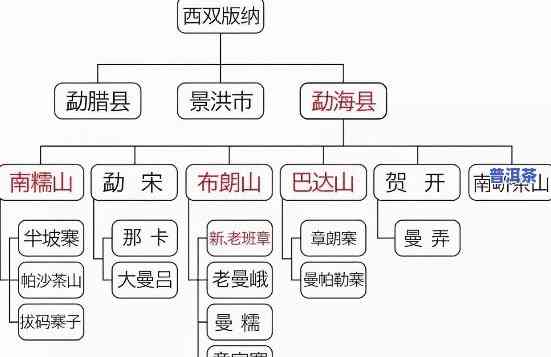 好的熟普洱茶的特点，探索好的熟普洱茶的特别特点