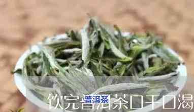 天福老班章普洱茶价格与熟砖1300克价格全览