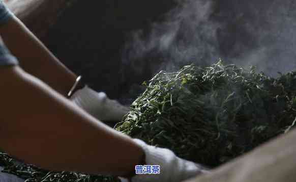 云南普洱熟茶冰岛茶-普洱茶冰岛熟茶价格