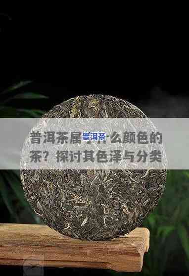 卧龙潭普洱茶区在哪里呀-卧龙潭普洱茶区在哪里呀