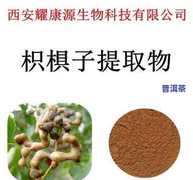 熟普洱茶的图片唯美-熟普洱茶的图片唯美大全