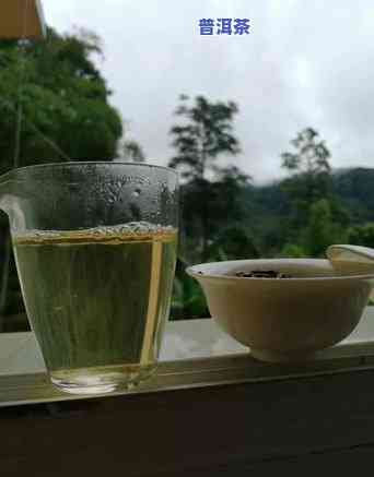 王子山普洱茶特点，探秘王子山普洱茶的特别魅力与特点