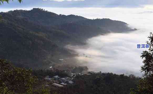 普洱云海，探秘云南美景：普洱云海的壮丽风光