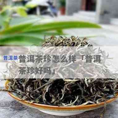 帕雅珍普洱茶小饼-帕雅珍普洱茶怎么样