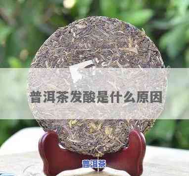 跃哥说普洱茶发酸-跃哥说普洱茶发酸是真的吗