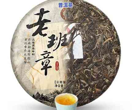 92年老班章普洱茶，品味历史：探索92年老班章普洱茶的特别魅力