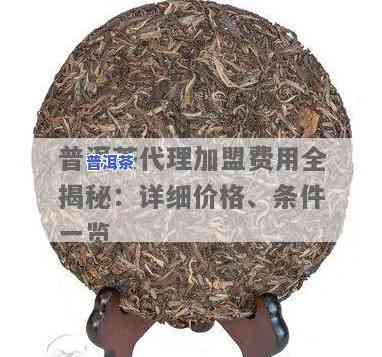 普洱茶代加工批发多少钱，普洱茶代加工批发价格一览，优质服务等你来选！