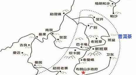 探秘老班章普洱茶：味道、口感与香气特点