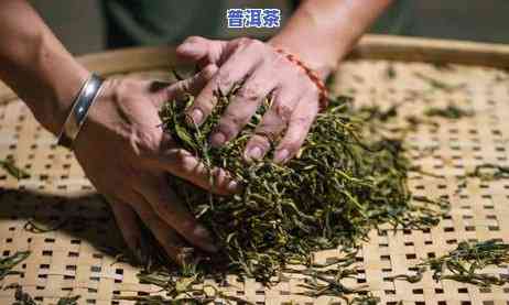 普洱茶理条机的作用，深入熟悉普洱茶理条机的神奇作用！