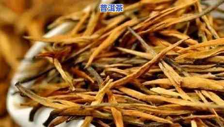 大叶牌普洱茶：品质、价格全解析