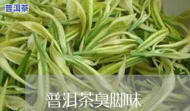 普洱茶有股臭脚丫子味，揭示真相：为何普洱茶会有“臭脚丫子”味？