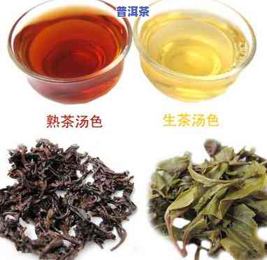 普洱茶是不是禄茶的一种，普洱茶是不是属于禄茶的种类？