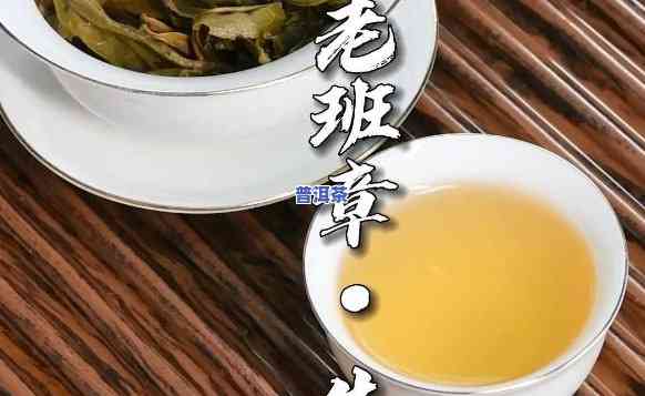 老班章普洱泡茶水温-老班章普洱茶冲泡视频