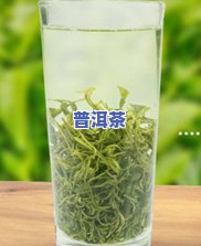 老班章怎样泡茶，探究老班章的正确冲泡方法