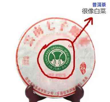 什么叫大白菜普洱茶？详解这类特别的茶叶品种