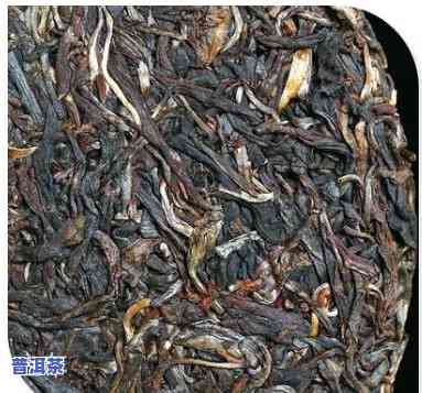 什么叫大白菜普洱茶？详解这类特别的茶叶品种