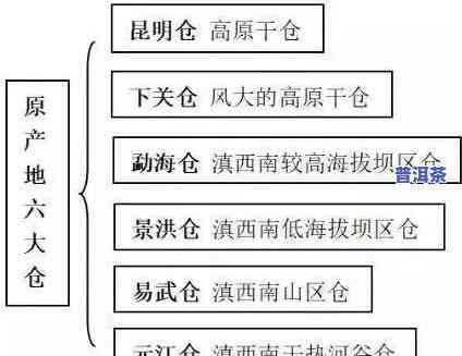 自然仓普洱茶：从选料到仓储全程严格把控，品味特别的陈香韵味