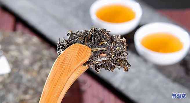 普洱茶的来源历史-普洱茶的来源历史简介