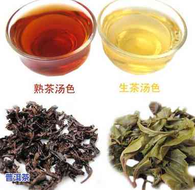 普洱茶包含茶类吗-普洱茶包含茶类吗为什么