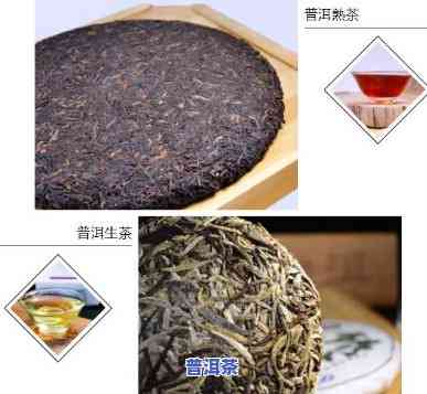 普洱茶包含茶类吗-普洱茶包含茶类吗为什么