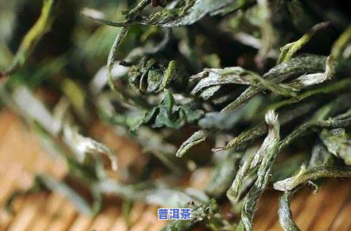 普洱茶有夏茶香味吗？探究其特别香气来源