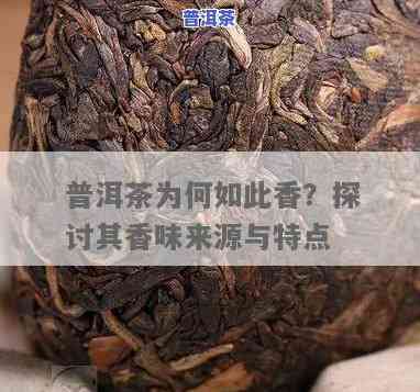 普洱茶有香米味吗为什么，解密普洱茶的香米味：探究其来源与特点