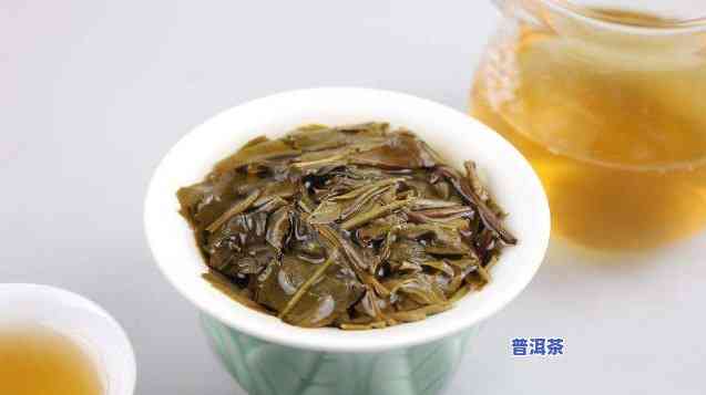 喝一天普洱茶好饿正常吗？探讨起因与女性相关性