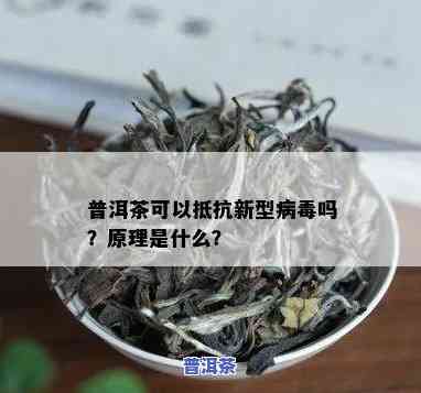 普洱茶抗冠状病吗，普洱茶真的能抗冠状病？有科学依据吗？