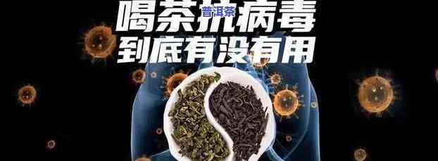 普洱茶抗冠状病吗，普洱茶真的能抗冠状病？有科学依据吗？