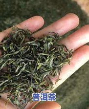 老班章冰岛昔归曼松普洱茶：四种名贵普洱茶的比较与鉴赏