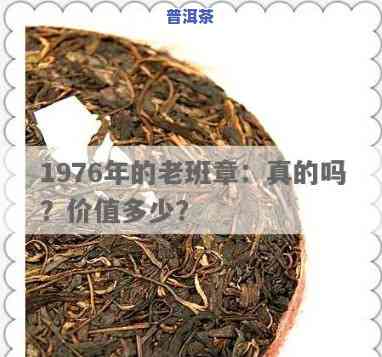 1976年老班章，追寻历史印记：探访1976年老班章普洱茶的故事