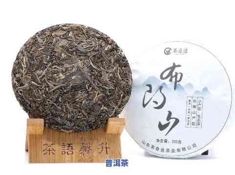 贺开山普洱茶：特点与价格全解析