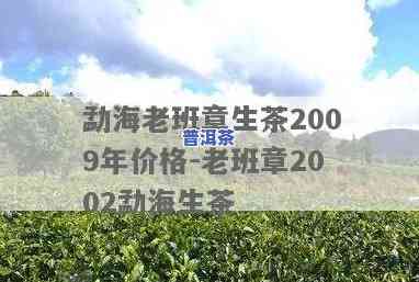 勐海老班章生茶价格及2009年行情，熟悉茶叶市场变化