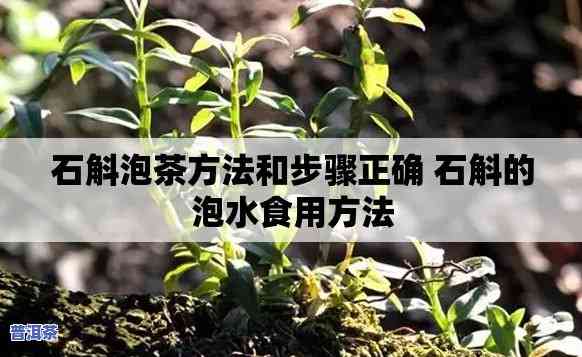 石斛普洱茶的正确泡法：详细步骤与技巧