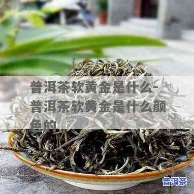 普洱茶中软黄金含量探究：多少算高？