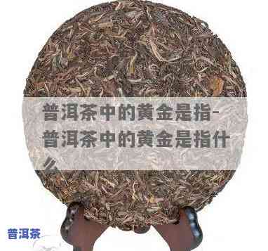 普洱茶中的黄金是指，揭秘普洱茶中的黄金：你不可不知的秘密