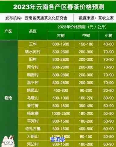 最新普洱茶橄榄坡价格表及高清图片全览