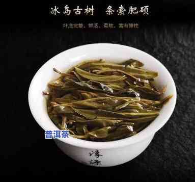 全场送古树普洱茶-全场送古树普洱茶是真的吗