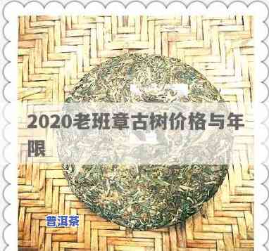 2020老班章古树价格全揭秘：纯料价格走势分析