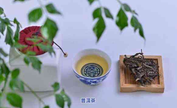 普洱茶，探索特别的普洱茶文化：一种深度发酵的美味享受