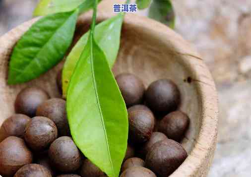 普洱茶籽怎么育苗更好，普洱茶籽更佳育苗方法解析