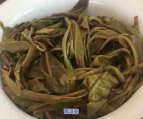 老班章茶怎么冲泡？详细步骤大揭秘！