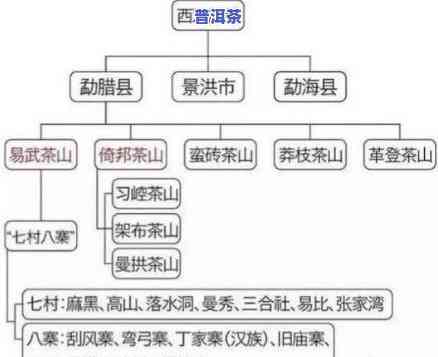 探索文山普洱茶的魅力：特点与优劣分析